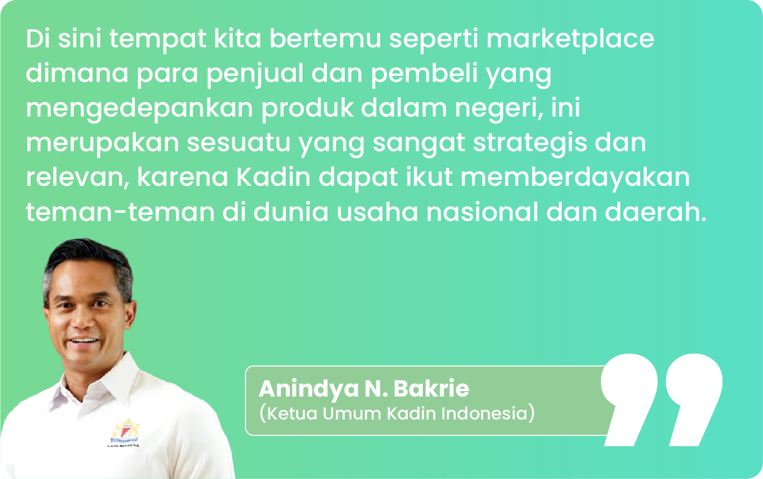 Anindya N. Bakrie